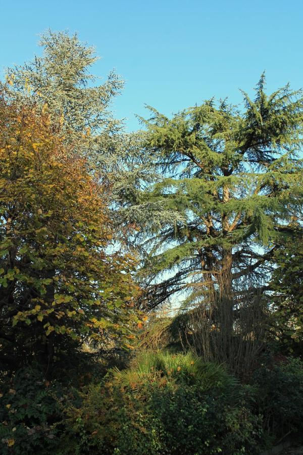 La Casa Di Neh Villa Rivalba Dış mekan fotoğraf
