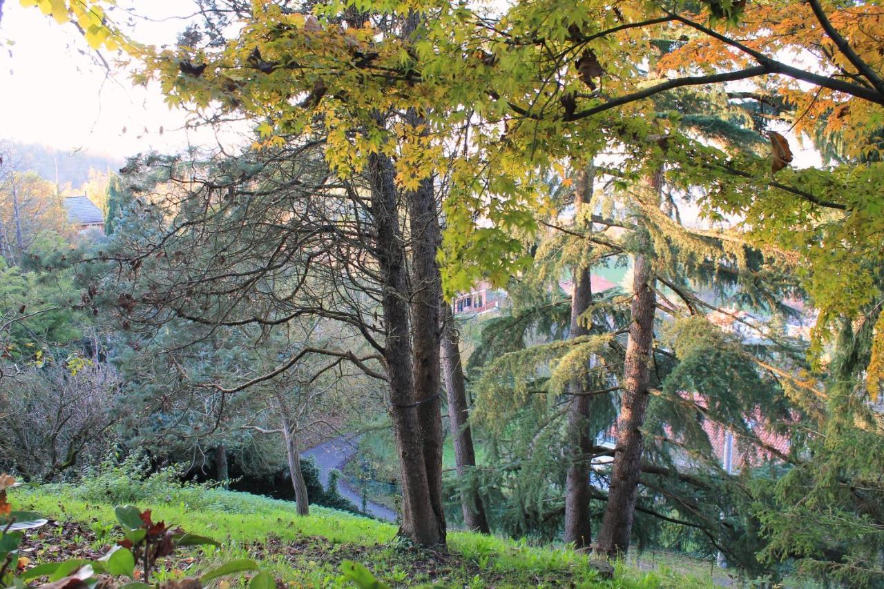 La Casa Di Neh Villa Rivalba Dış mekan fotoğraf
